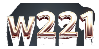 w221 logo
